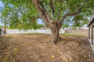 View of fenced backyard