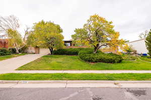 Front view of property featuring a front lawn and driveway
