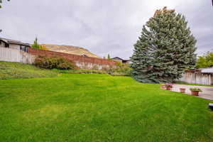 View of fenced backyard
