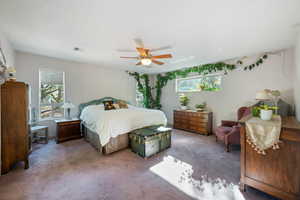 Carpeted bedroom with multiple windows and a ceiling fan
