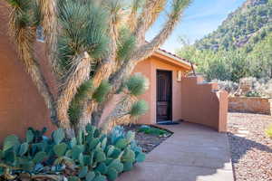 Doorway to property with stucco siding