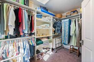 Spacious closet with dark carpet