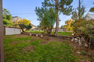 View of fenced backyard
