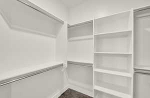 Spacious closet with carpet