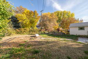 View of grassy yard