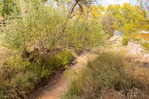View of nature