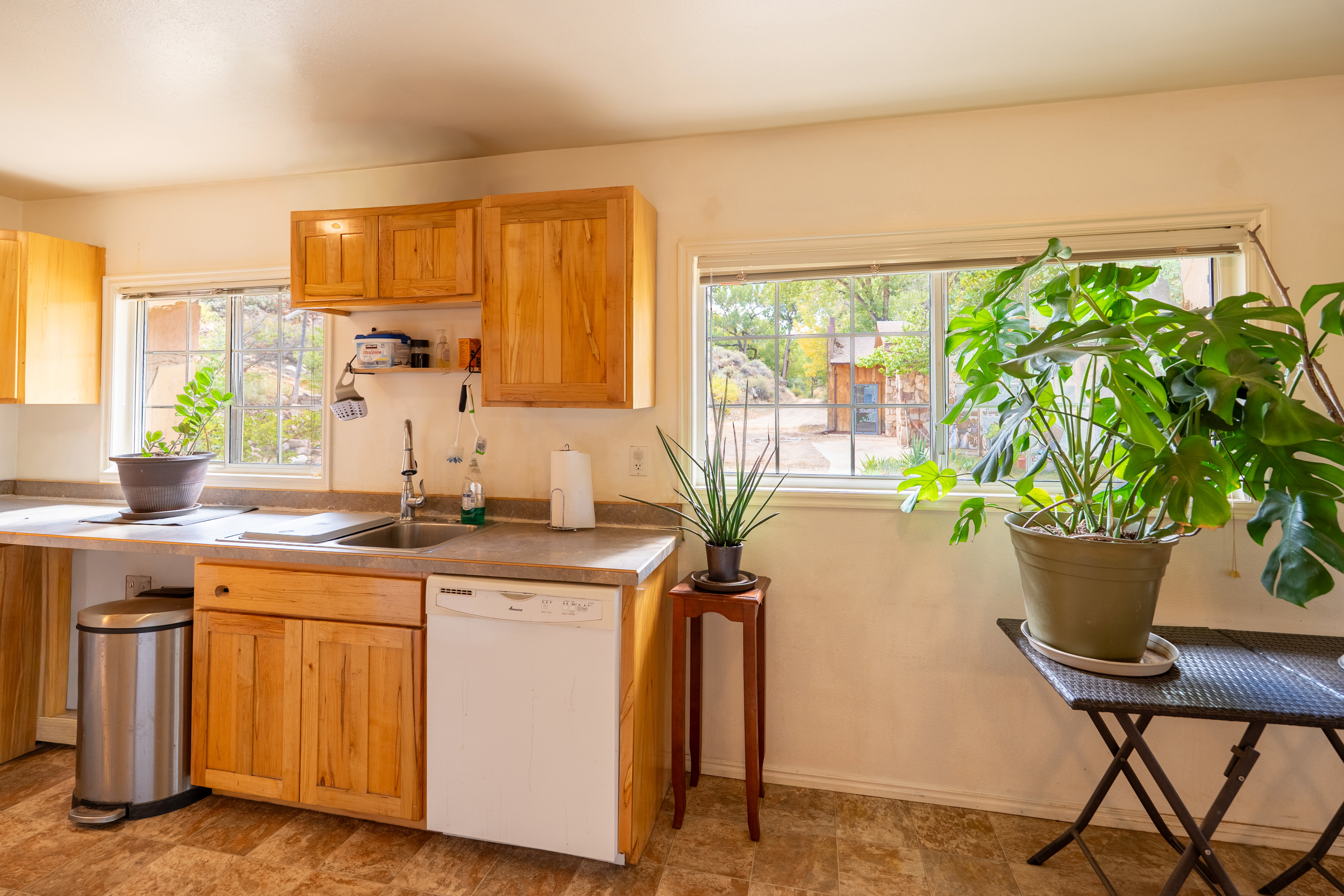 Kitchen with dishwasher and light countertops