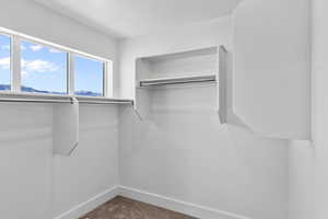 Walk in closet with carpet
