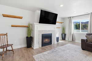 Living room with light wood finished floors, a glass covered fireplace, and recessed lighting