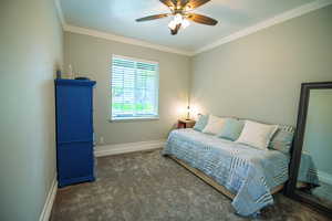 Bedroom with crown molding, carpet flooring, ceiling fan, and a textured ceiling