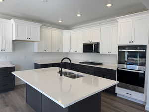 Kitchen featuring white cabinetry, stainless steel appliances, light stone counters, dark wood-style flooring, and recessed lighting