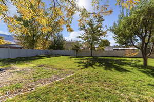 View of fenced backyard