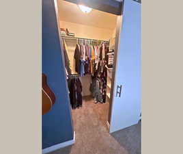Spacious closet with carpet flooring