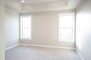 Spare room with carpet flooring and a raised ceiling