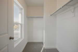 Spacious closet with light colored carpet
