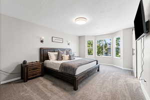 Bedroom featuring carpet floors and a textured ceiling