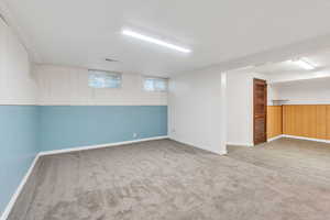 Below grade area featuring wood walls, light carpet, and wainscoting