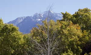 View of mountain backdrop