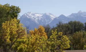 View of mountain backdrop