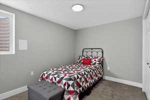 Bedroom with carpet flooring and a textured ceiling