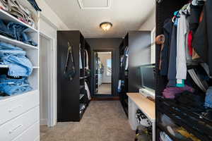 Spacious closet featuring light carpet