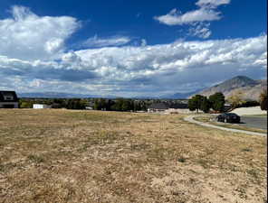 View of yard with a mountain view and a view of rural / pastoral area