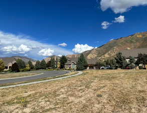 View of mountain background