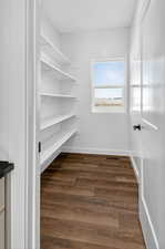 Walk in closet featuring dark wood-style floors