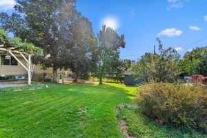 View of green lawn with a patio area and an outbuilding