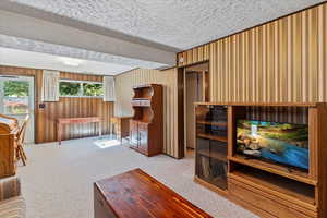 Living room featuring light carpet and a textured ceiling