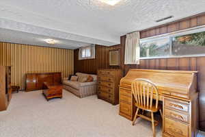 Office featuring wood walls, light carpet, healthy amount of natural light, and a textured ceiling
