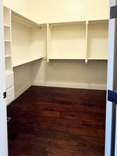 Spacious closet featuring dark wood-style floors
