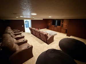 Home theater room featuring light carpet and a textured ceiling