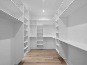 Spacious closet featuring light wood-style floors