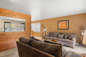 Living area featuring carpet, a textured wall, and a textured ceiling