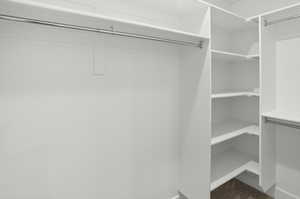 View of walk in closet