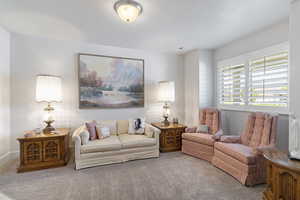 Living room featuring carpet