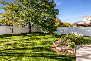 View of fenced backyard
