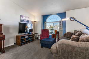 Carpeted living room with vaulted ceiling and a textured ceiling