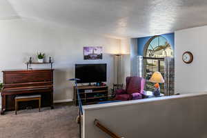 Carpeted living room featuring a textured ceiling and lofted ceiling
