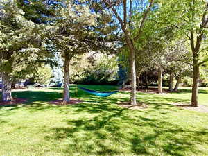 View out front door of apartment.