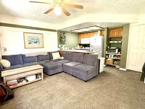 Living room and kitchen