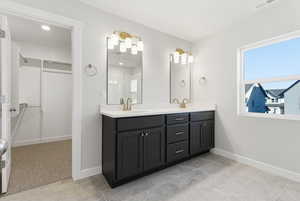 Bathroom featuring a walk in closet and double vanity