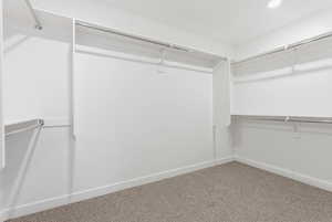 Walk in closet featuring carpet flooring