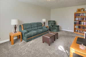 Living room featuring carpet floors and a textured ceiling