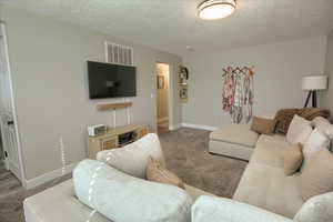 Living room with carpet floors and a textured ceiling