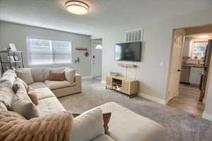 Living area with light colored carpet and a textured ceiling