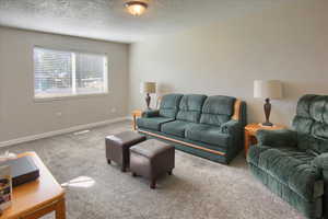 Living room with carpet floors and a textured ceiling