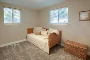 Carpeted bedroom with multiple windows