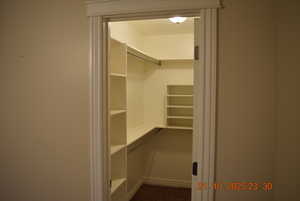 View of walk in closet